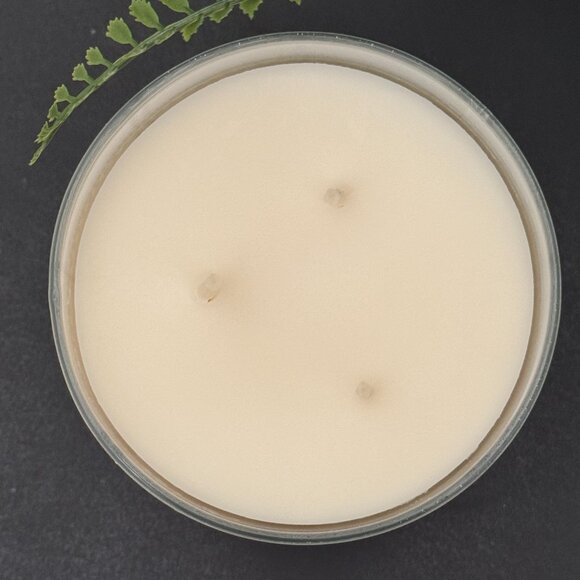 BBW Backyard Honeysuckle Bath & Body Works 3 Wick Candle - Picture 7 of 10